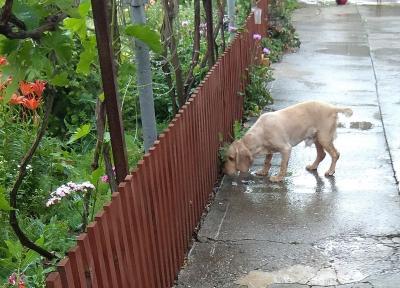 Прикрепленное изображение: tj-a5lqN3Ck.jpg